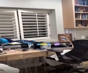 معماری طبیعت؛ مهمون ناخونده آبکی از پنجره در نزده اومد تو زندگیشونو به گند کشید