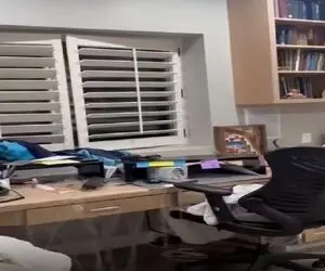 معماری طبیعت؛ مهمون ناخونده آبکی از پنجره در نزده اومد تو زندگیشونو به گند کشید