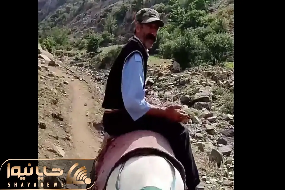 آواز سوزناک؛ آقاهه تو کوه و دشت رو خر نشسته و آهنگ لیلا باریکلا رو میخونه!