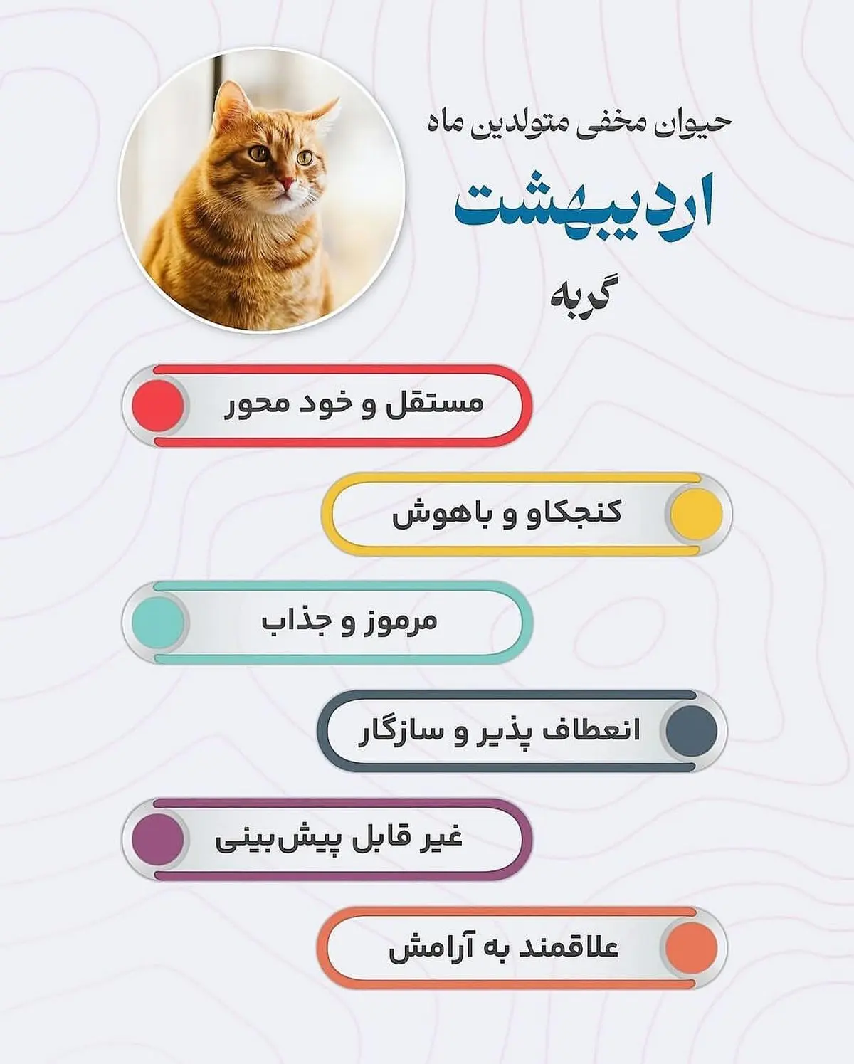 حیوان هر ماه