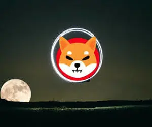 احتمال اینکه شیبااینو صعود کند چقدر است؟!