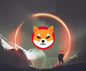 دلیل این همه علاقه به شیبااینو!