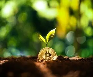 بندبین بیت کوین و محیط زیست!