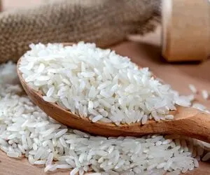 قیمت برنج ایرانی با خاک یکسان شد؟