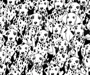 بازی فکری؛ بین 100 سگ خال دار سگ بی خال رو پیدا کن و جربزه ات رو به رخ بکش