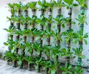 ایده های خلاقانه؛ با بطری های پلاستیکی آب معدنی جای زمین روی دیوار باغچه بساز