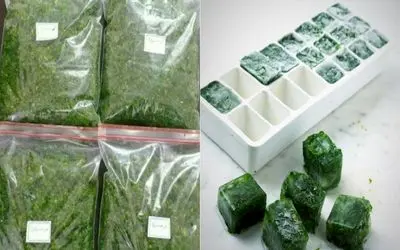 سیر تا پیاز سرخ و فریز کردن سبزی خورشت/ با این ترفند همیشه واسه خورشتت سبزی تازه داری