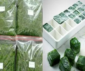 سیر تا پیاز سرخ و فریز کردن سبزی خورشت/ با این ترفند همیشه واسه خورشتت سبزی تازه داری