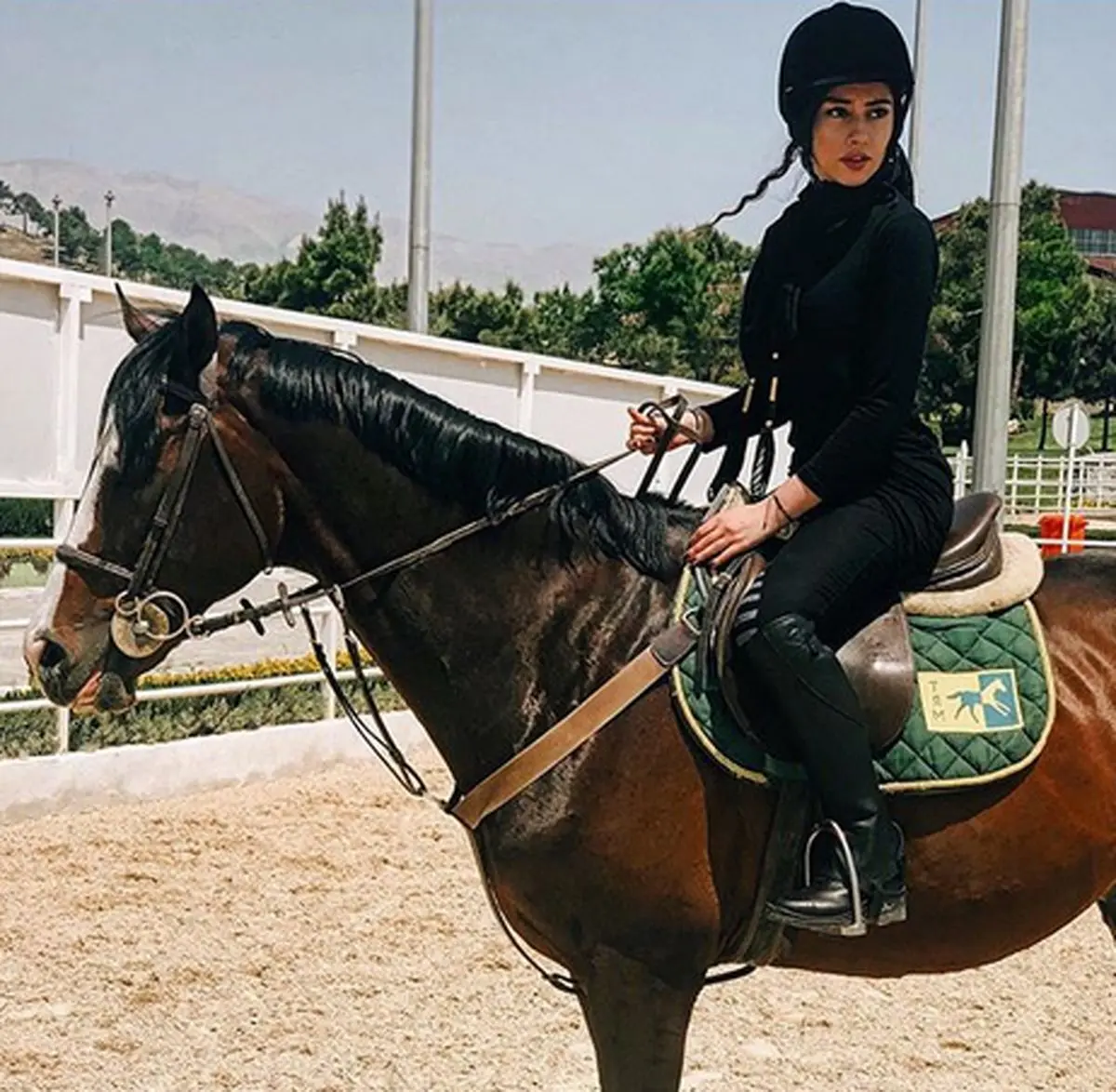 ترلان+پروانه (2)
