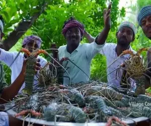 غذای ترسناک | کوه خرچنگ درست کردن با داد و بیداد میپزن/این چه رسمی که دارن دیوونه میزنن!