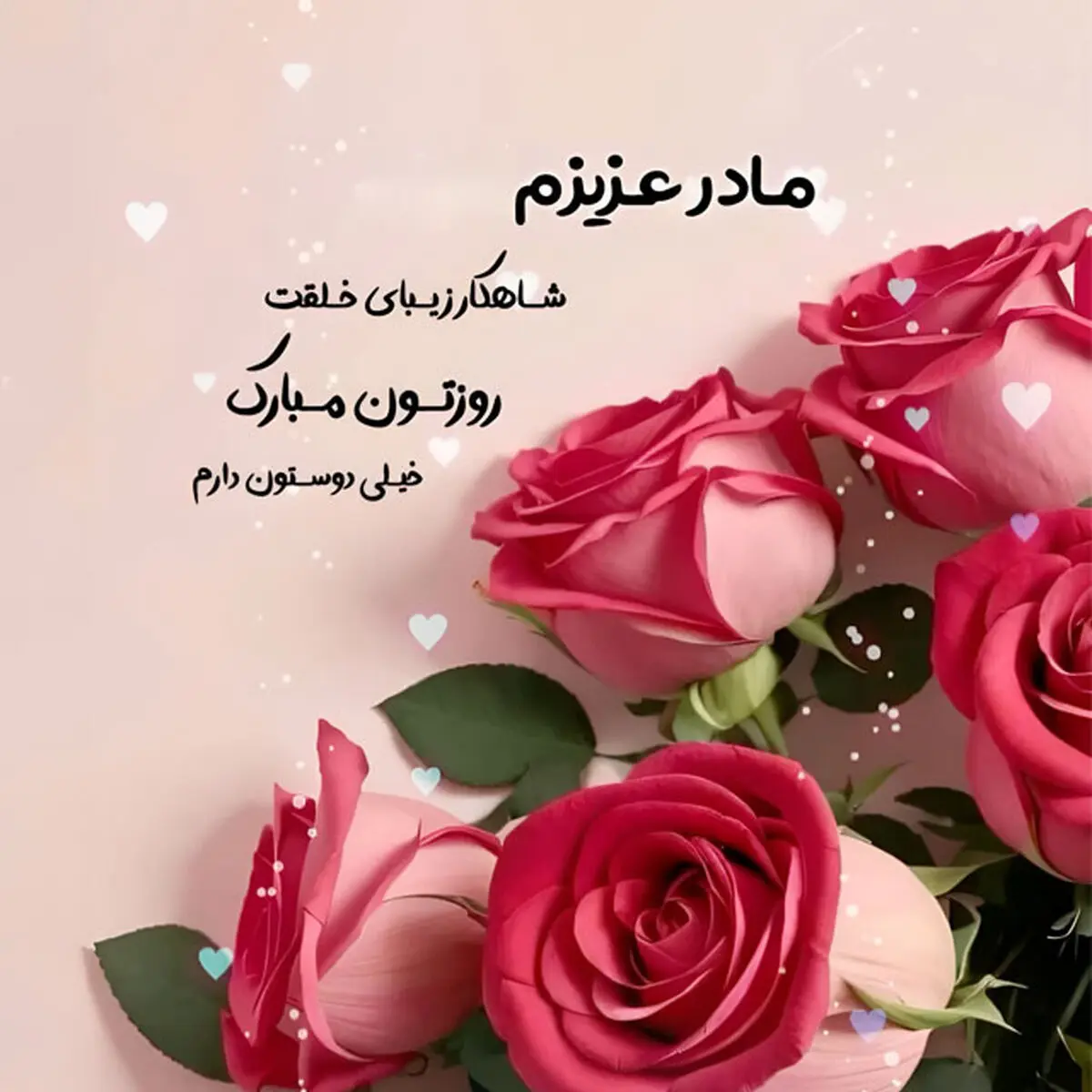 roze-mom-zan-photokade-com-5