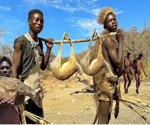 کباب گوزن؛ بربرها برهنه بعد شکار با دست گوزن بیچاره رو خفه میکنن به سیخ میکشن