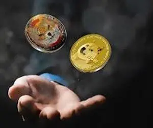 پیش‌بینی جنجالی قیمت دوج کوین و شیبا!!