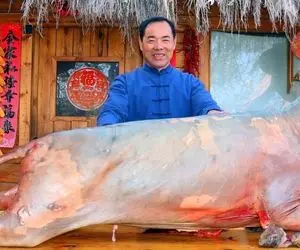 چلو گوشت الاغ؛ الاغ بزرگ رو سلاخی می کنن و با گوشت ران و راسته اش چلو گوشت طبخ می کنن