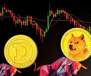 خبری مهم از دوج کوین!