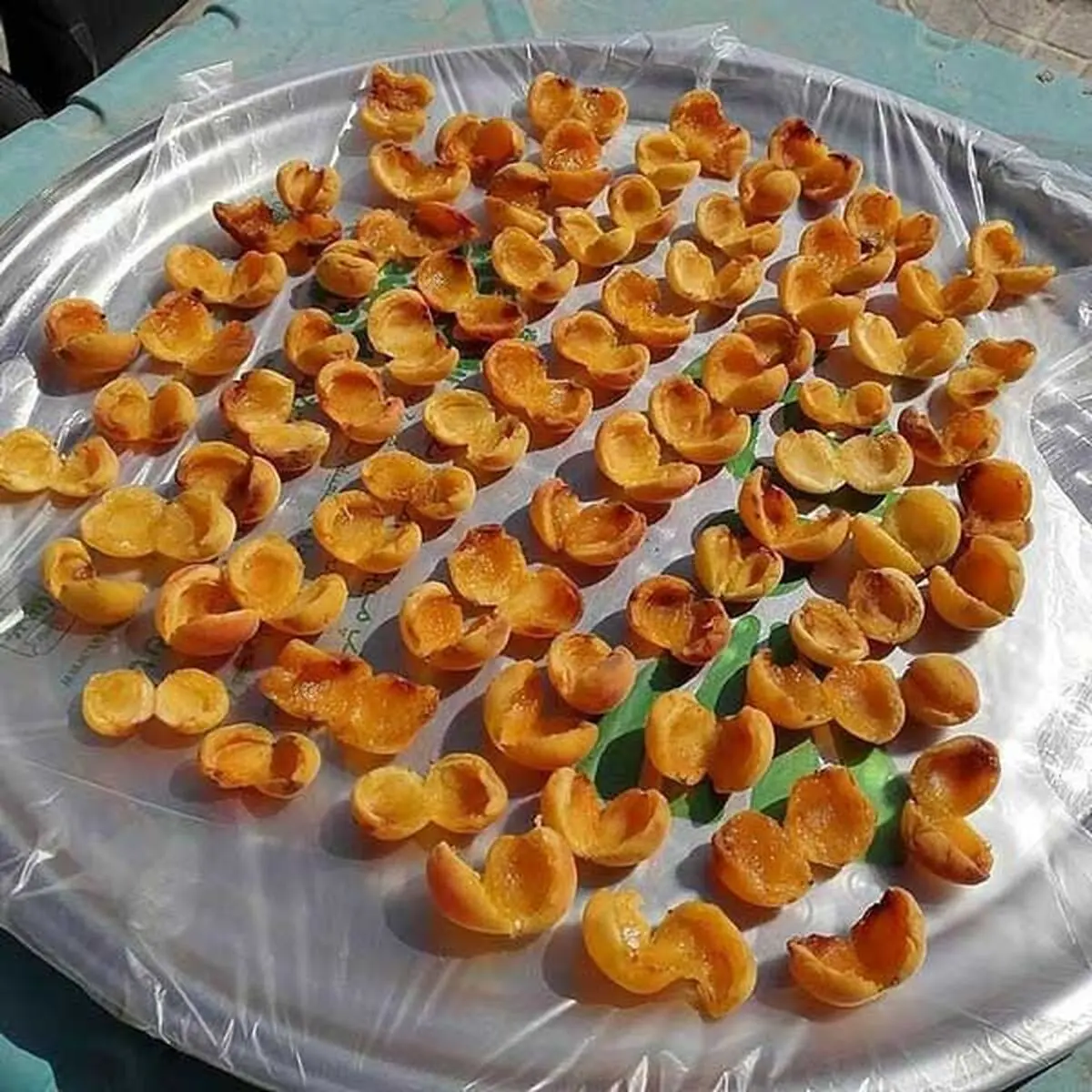 drying-apricots-7