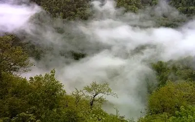 پای دادگستری مازندران به آتش سوزی جنگل‌های الیت باز شد