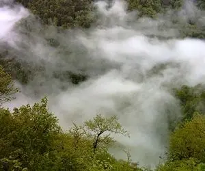 پای دادگستری مازندران به آتش سوزی جنگل‌های الیت باز شد