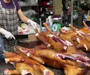 کباب سگ؛ سگ نازنازی بزرگ و بعد رد کردن از تنور آتیش بریونی کرد و مثله شده فروخت 