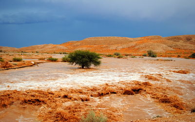 سیلابی نایاب در یکی از خشک ترین کویر های جهان!
