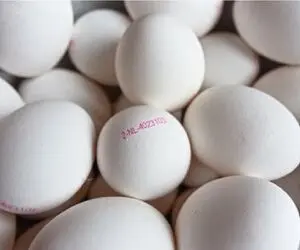 قیمت تخم مرغ امروز یکشنبه 11 مرداد 1405/ تخم مرغ شانه ای 600 تومان یعنی چه؟