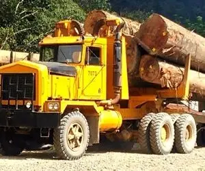 جابه جایی های جانکاه؛ ببیند این راننده کامیون نوستالژی چه شوماخرانه الوار و میبره!