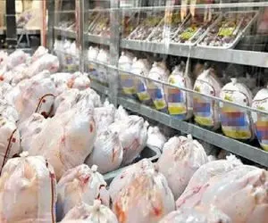 قیمت مرغ امروز یکشنبه ۳ خرداد ۱۴۰۵ + جدول