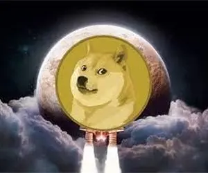 فاش آینده؛ پیش بینی دقیق از دوج کوین!