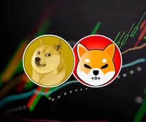 پیش بینی جالب از شیبااینو و دوج کوین!