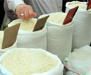 معمای برنج پاکستانی؛ واردات با دلار ۲۸ هزار، فروش تا کیلویی ۲۰۰ هزار!