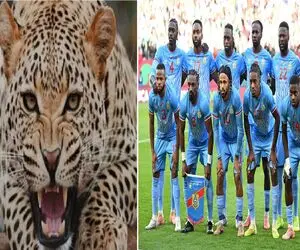 وقتی فشن از فوتبال جلو زد؛ استایل پلنگی تیم ملی کنگو سوژه جام جهانی 2026 شد