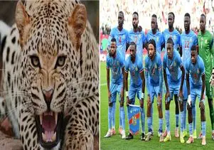 وقتی فشن از فوتبال جلو زد؛ استایل پلنگی تیم ملی کنگو سوژه جام جهانی 2026 شد