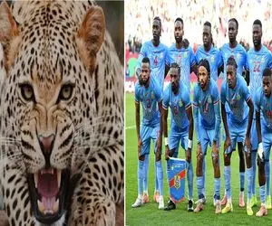 وقتی فشن از فوتبال جلو زد؛ استایل پلنگی تیم ملی کنگو سوژه جام جهانی 2026 شد