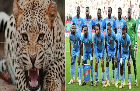 وقتی فشن از فوتبال جلو زد؛ استایل پلنگی تیم ملی کنگو سوژه جام جهانی 2026 شد