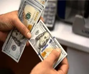 قیمت دلار امروز سه شنبه 16 تیر 1405؛ تعطیلات چه بر سر دلار آورد؟
