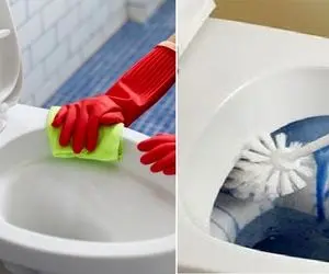 خونه تمیز اون خونه ایه که میری سرویس برق بزنه؛ با این ترفندا توالت فرنگی میشه دسته گل