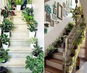 گیاهان مناسب راه پله / تو راه پله ی سرد و تاریک دوام میارن هیچ حتی هواشم تصفیه میکنن