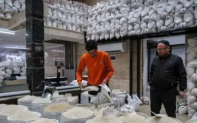 ارز ترجیحی برنج خارجی حذف شد؛ جزئیات قیمت جدید برنج هندی و پاکستانی