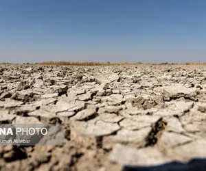 صالحیه دارد از تشنگی می میرد+تصاویر