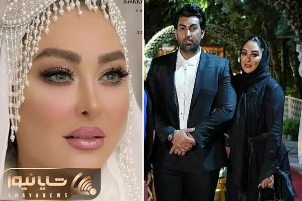 elham hamidi shayanews