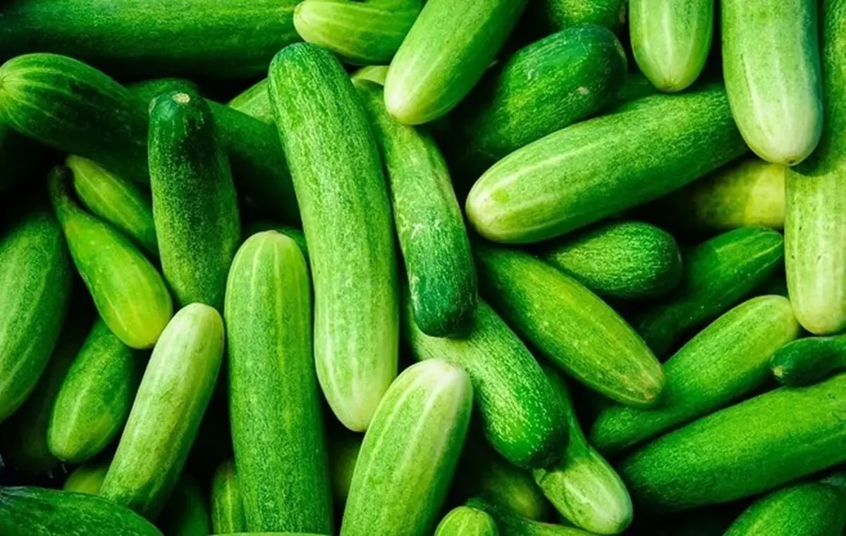 نفخ5