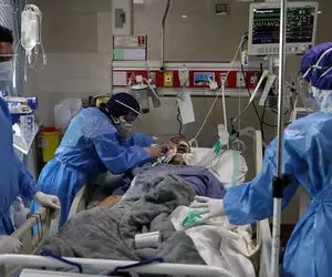 کرونا جان ۲۴ نفر دیگر را هم گرفت