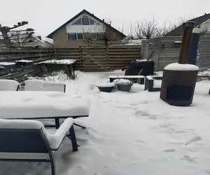 بازی فکری؛ عمرا بتونی گربه تصویرو پیدا کنی مگه اینکه جر 1 درصد آدمای خاص و خفن باشی