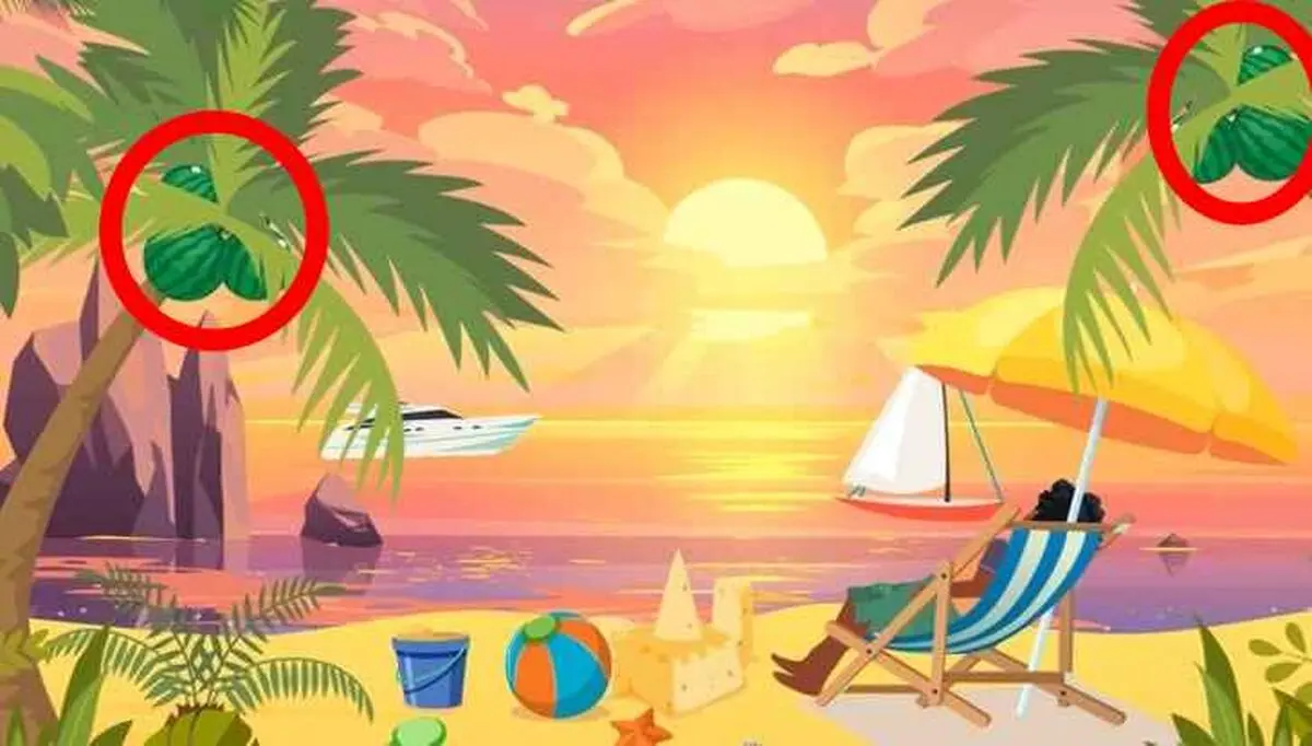 find the mistake in the beach picture solved