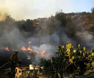 باز هم حریق جنگل های گیلان را بلیعد