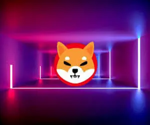 روشی منحصربه فرد از شیبااینو!