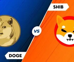 حرکت بعدی دوج کوین و شیبااینو فاش شد!! 