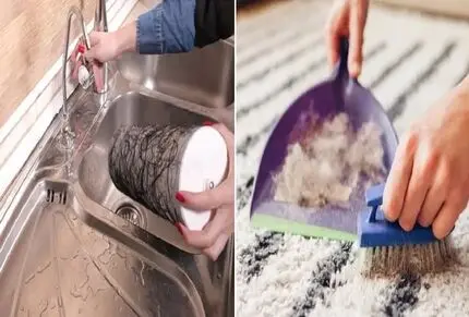 از دیدن موهای ریخته روی فرش و موکت کلافه‌ اید؟ با این ترفندها در سه‌ سوت جمعشان کنید