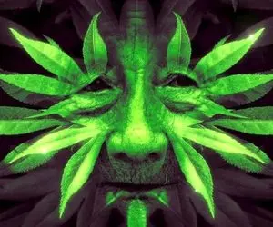 بازی فکری؛ میخوای بدونی مغزت چقد تیز و فعاله و حس ششمت قویه؟/ بگو اول چی دیدی