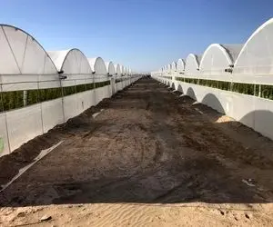 به بار نشستن نخستین شهرک گلخانه ای البرز